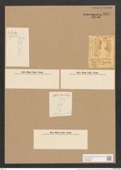Libellus grevillei (Ag.) Cleve (de-Toni-Nr.: Genus 5, Species 856) Zeichnungen Sammlung Grunow Nr. 1697 (NHMW-BOT-W0368569)